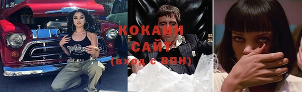 тгк Новозыбков