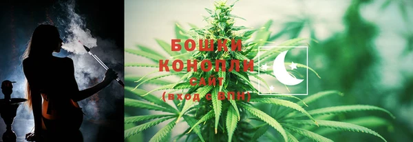тгк Новозыбков