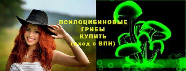 прущая мука Нея