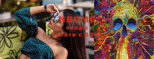 тгк Новозыбков