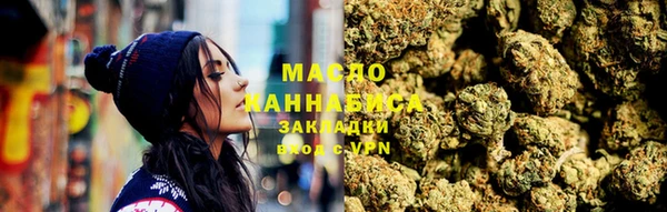 тгк Новозыбков