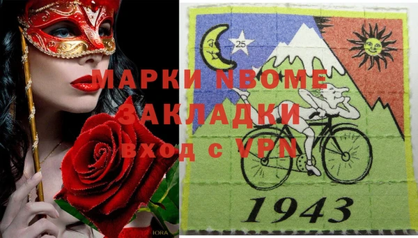 тгк Новодвинск